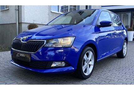 Skoda Fabia Gebrauchtwagen