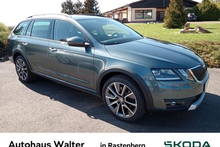 Skoda Octavia Gebrauchtwagen