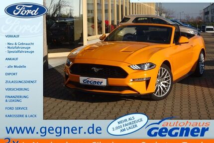 Ford Mustang Gebrauchtwagen
