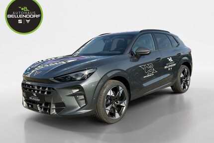 Cupra Terramar Gebrauchtwagen