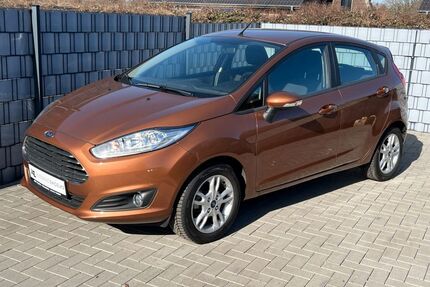 Ford Fiesta Gebrauchtwagen