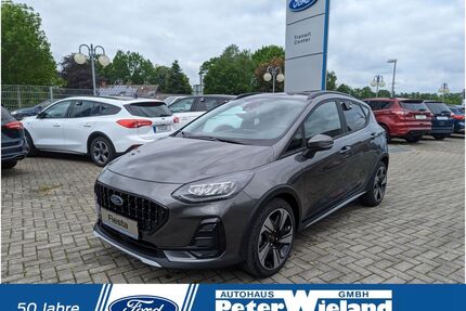 Ford Fiesta Gebrauchtwagen
