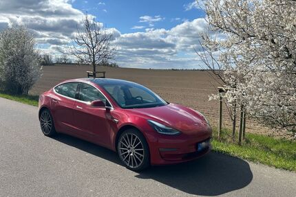 Tesla Model 3 Gebrauchtwagen