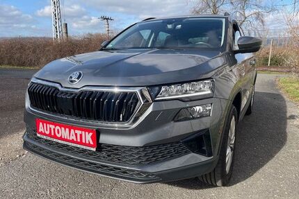 Skoda Karoq Gebrauchtwagen