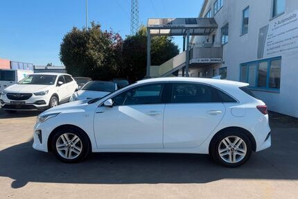 Kia ceed / Ceed Gebrauchtwagen