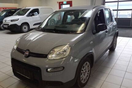 Fiat Panda Gebrauchtwagen