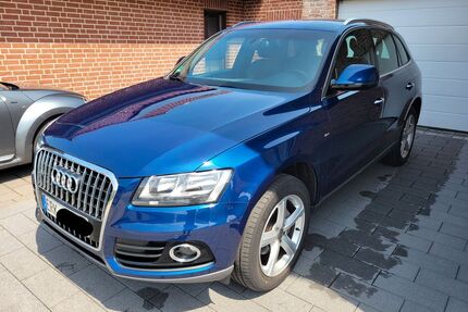 Audi Q5 Gebrauchtwagen