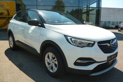 Opel Grandland (X) Gebrauchtwagen