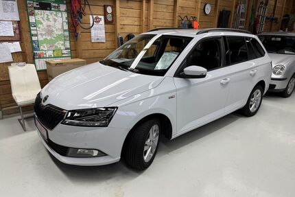 Skoda Fabia Gebrauchtwagen