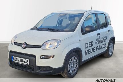 Fiat Panda Gebrauchtwagen