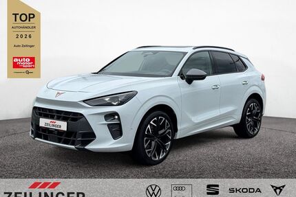 Cupra Terramar Gebrauchtwagen