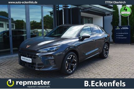 Cupra Terramar Gebrauchtwagen