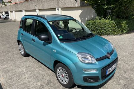Fiat Panda Gebrauchtwagen