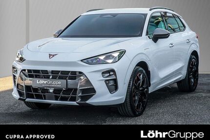 Cupra Terramar Gebrauchtwagen
