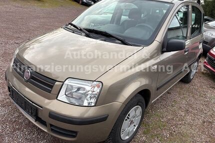 Fiat New Panda Gebrauchtwagen