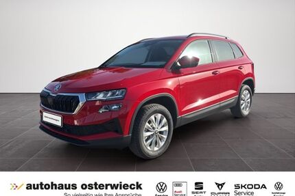 Skoda Karoq Gebrauchtwagen