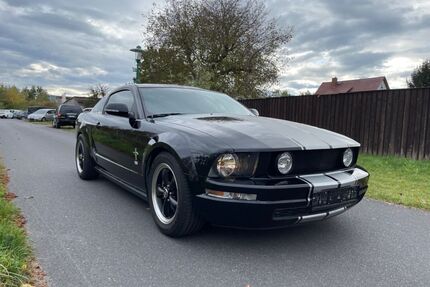 Ford Mustang Gebrauchtwagen