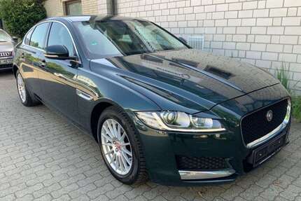 Jaguar XF Gebrauchtwagen