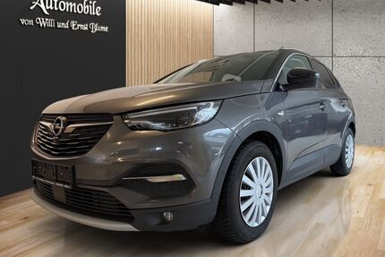 Opel Grandland (X) Gebrauchtwagen