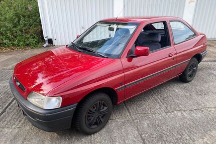 Ford Escort Gebrauchtwagen