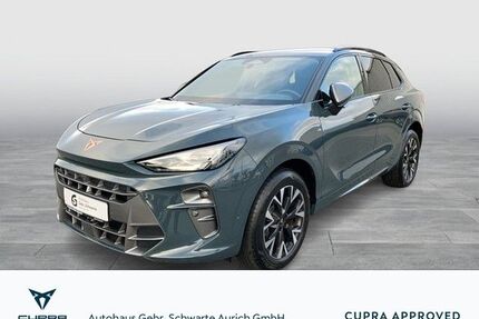 Cupra Terramar Gebrauchtwagen