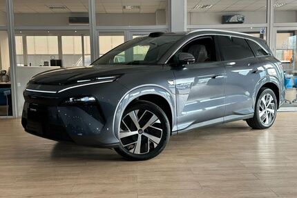 BYD Andere Gebrauchtwagen