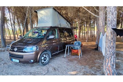 VW T5 California Gebrauchtwagen