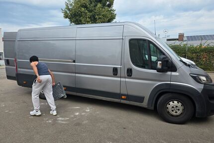 Peugeot Boxer Gebrauchtwagen