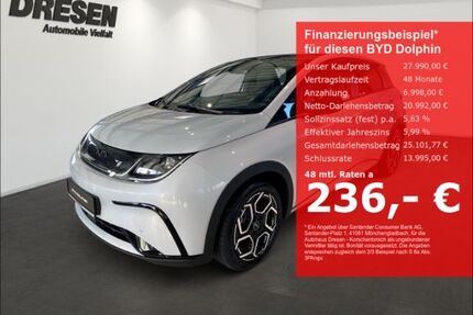 BYD DOLPHIN Gebrauchtwagen