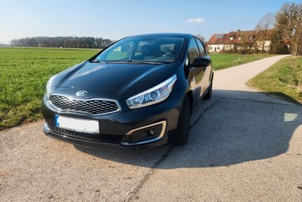 Kia ceed / Ceed Gebrauchtwagen