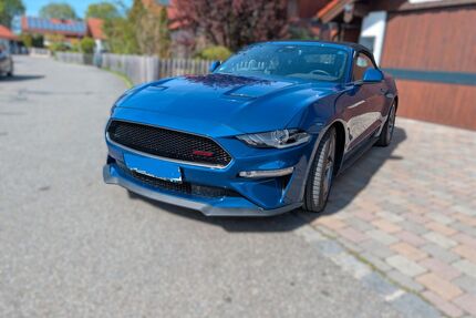 Ford Mustang Gebrauchtwagen