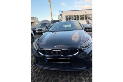 Kia ceed / Ceed Gebrauchtwagen