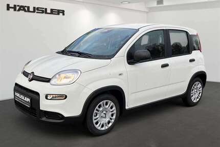 Fiat Panda Gebrauchtwagen