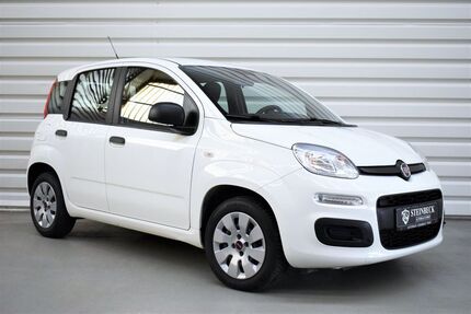 Fiat Panda Gebrauchtwagen