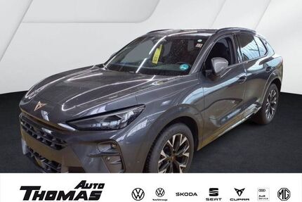 Cupra Terramar Gebrauchtwagen