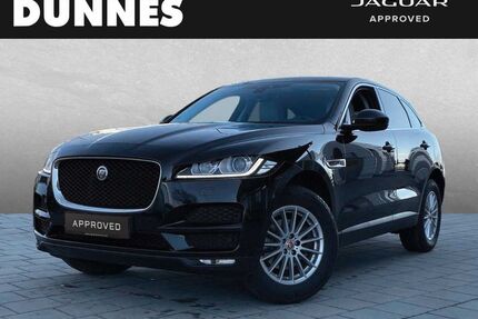 Jaguar F-Pace Gebrauchtwagen