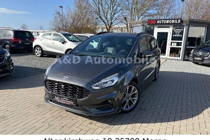Ford S-Max Gebrauchtwagen