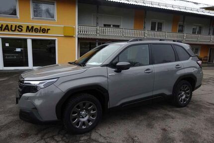 Subaru Forester Gebrauchtwagen