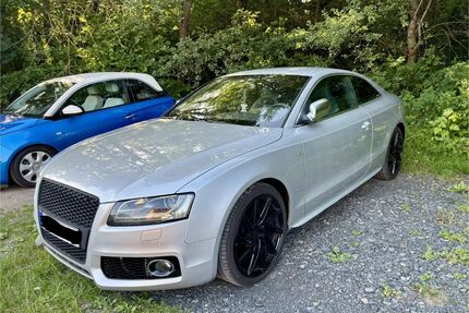 Audi S5 Gebrauchtwagen