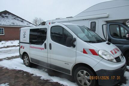 Renault Trafic Gebrauchtwagen