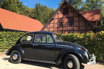 VW Käfer Gebrauchtwagen