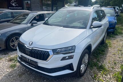 Skoda Karoq Gebrauchtwagen