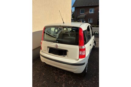 Fiat Panda Gebrauchtwagen