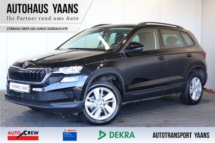 Skoda Karoq Gebrauchtwagen