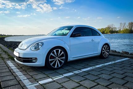 VW Beetle Gebrauchtwagen