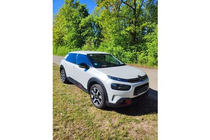 Citroen C4 Cactus Gebrauchtwagen