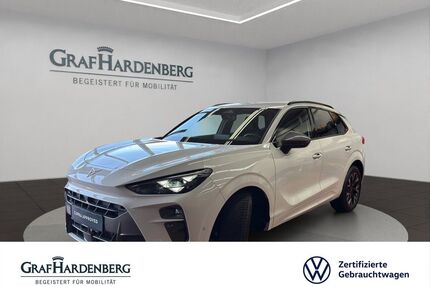 Cupra Terramar Gebrauchtwagen