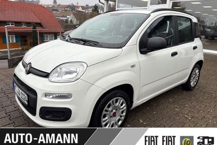 Fiat Panda Gebrauchtwagen
