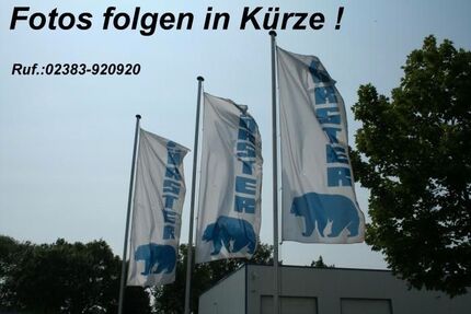 VW Käfer Gebrauchtwagen