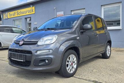 Fiat New Panda Gebrauchtwagen